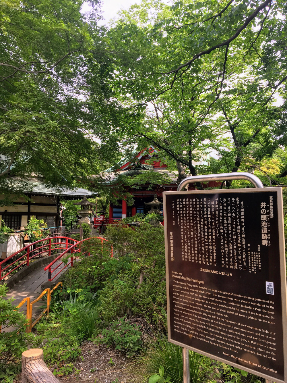 俺の武蔵野湧水弁天巡り、LSD28kmの写真20