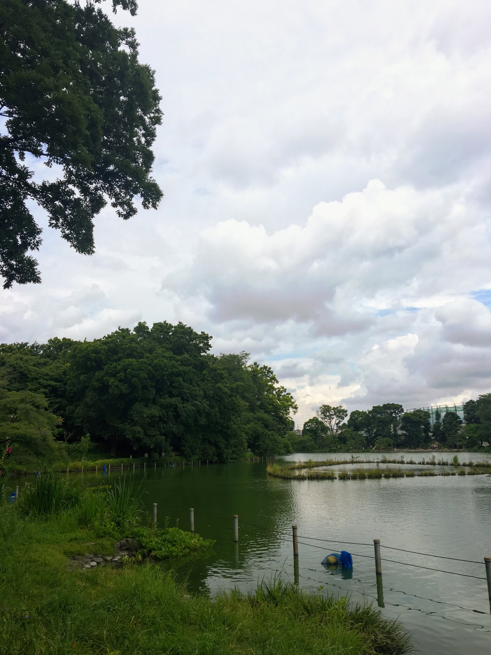 俺の武蔵野湧水弁天巡り、LSD28kmの写真23