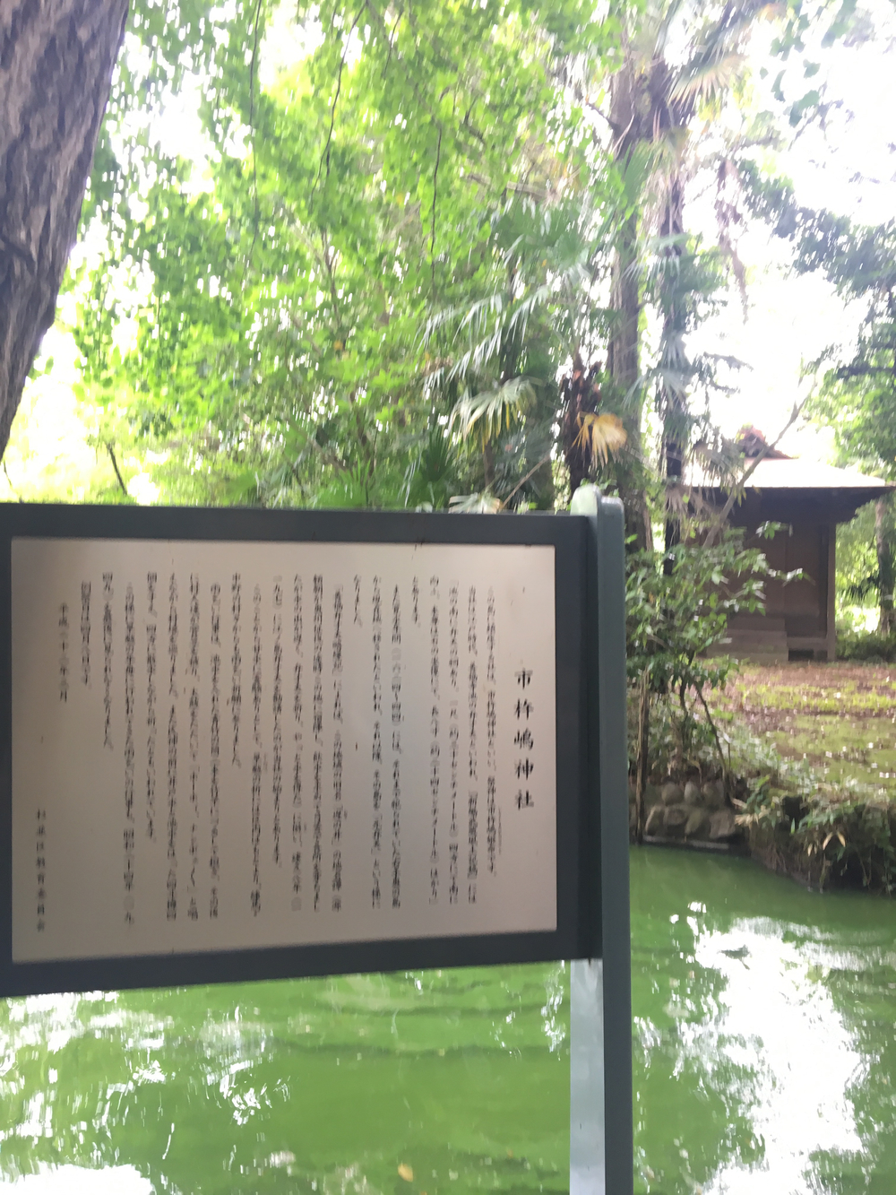 俺の武蔵野湧水弁天巡り、LSD28kmの写真24