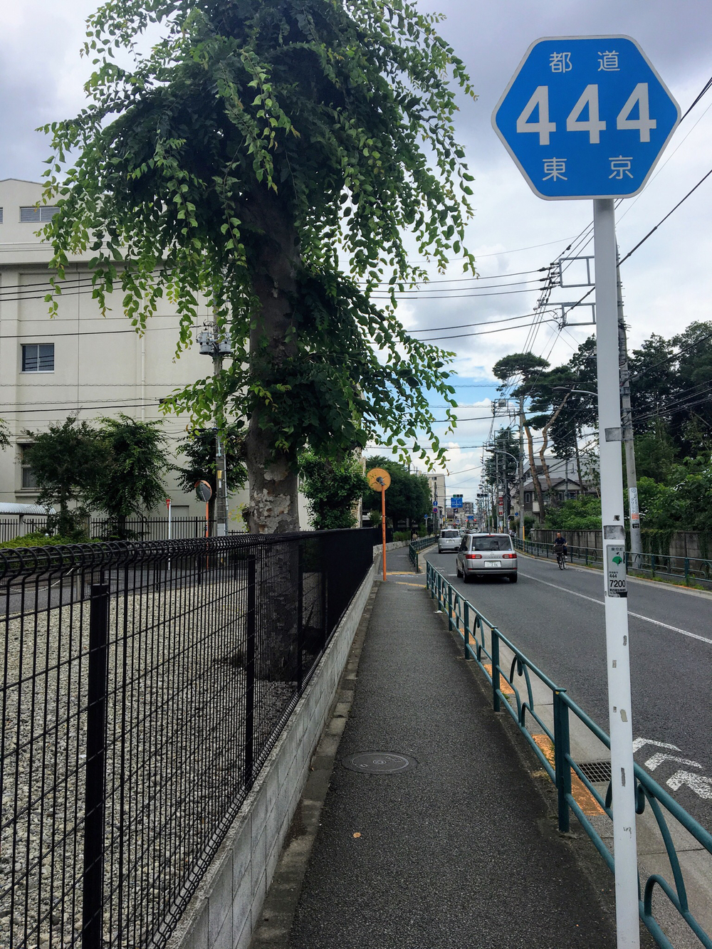 俺の武蔵野湧水弁天巡り、LSD28kmの写真25