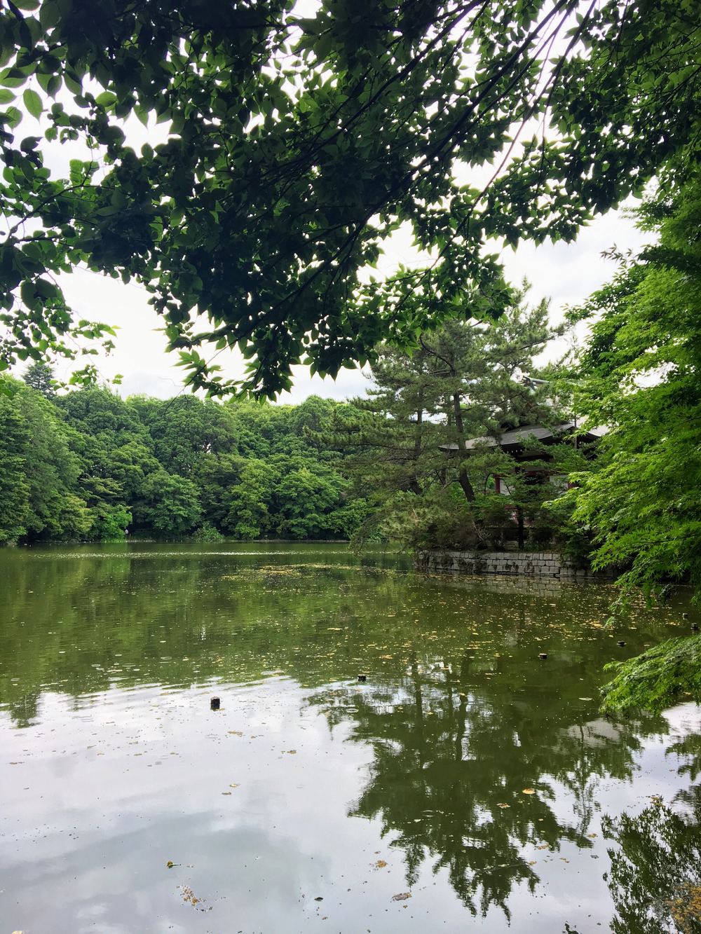 俺の武蔵野湧水弁天巡り、LSD28kmの写真26