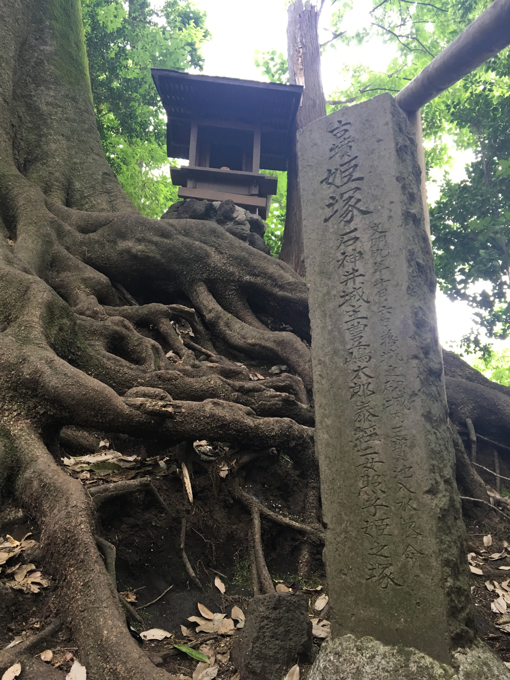 俺の武蔵野湧水弁天巡り、LSD28kmの写真27