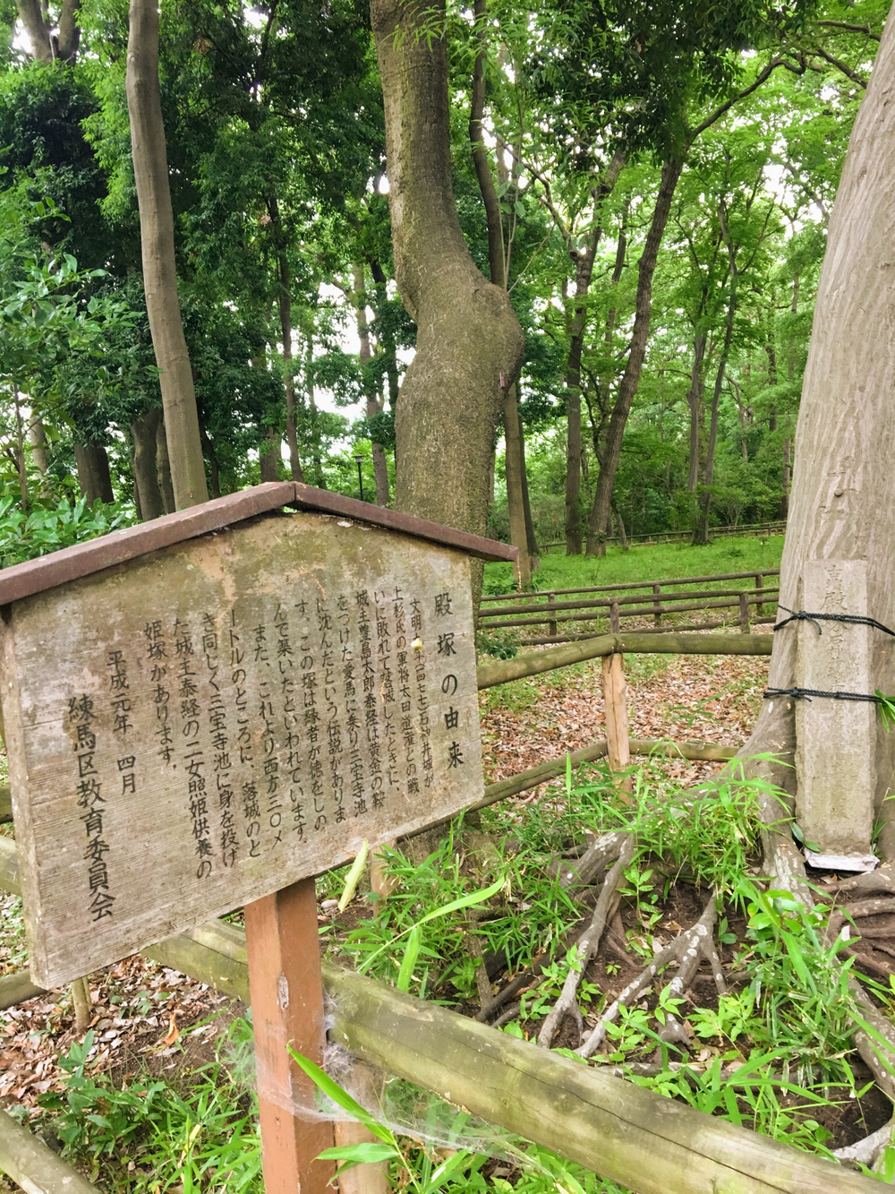 俺の武蔵野湧水弁天巡り、LSD28kmの写真28