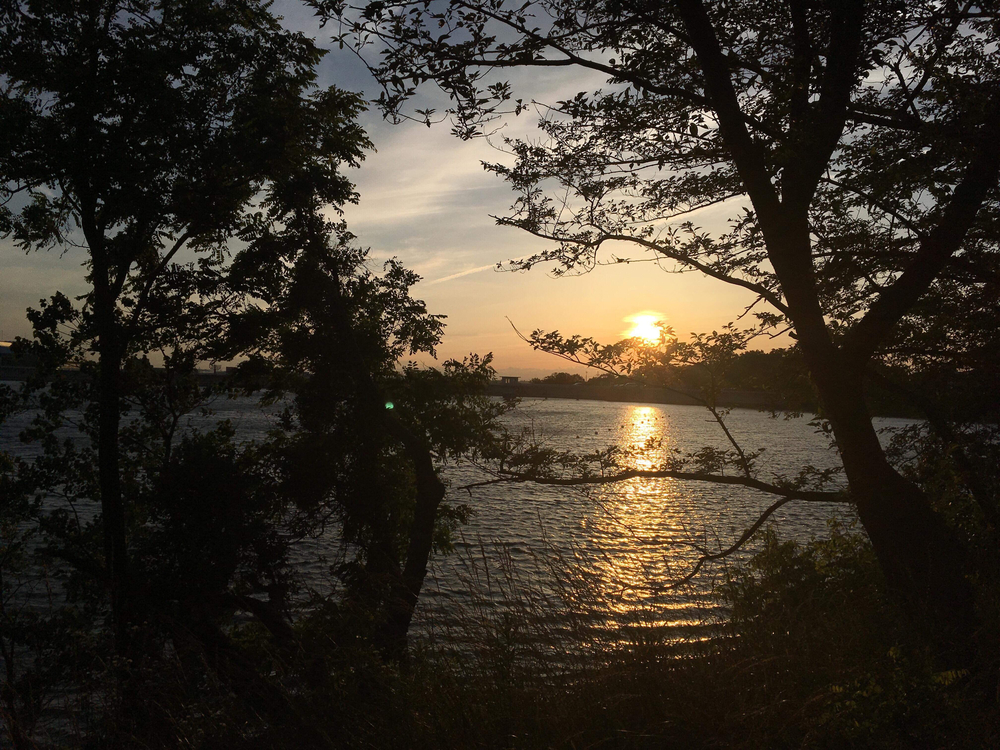 三好池公園の写真3