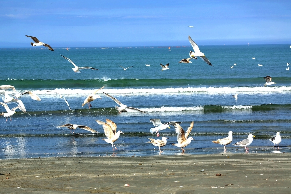 「浜中町なぎさのドライブウェイ」の写真4