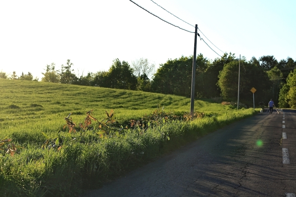 観光マップに載ってない五稜の丘の写真4