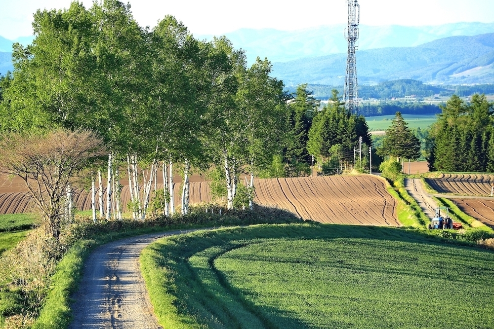 観光マップに載ってない五稜の丘の写真5