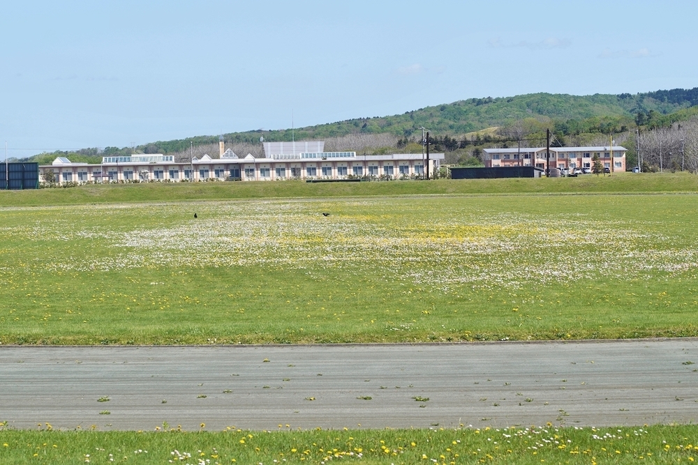 お花畑のトラック・豊富町陸上競技場の写真3