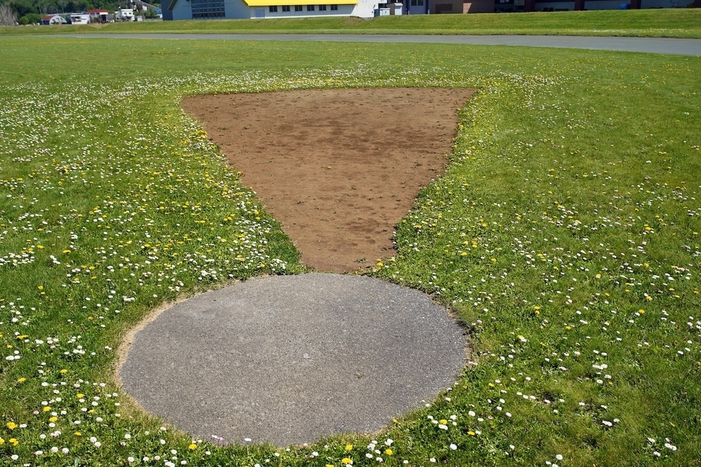 お花畑のトラック・豊富町陸上競技場の写真4
