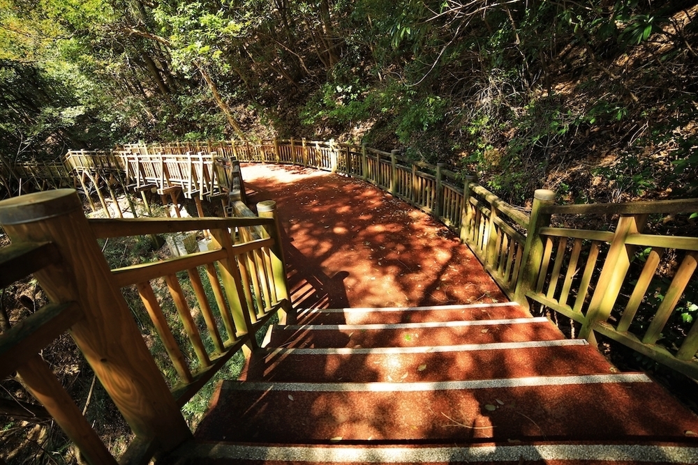 春野総合運動公園クロカンコースの写真6