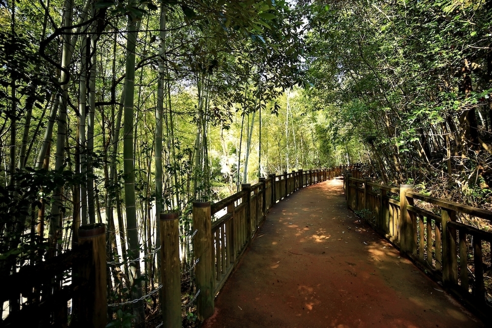 春野総合運動公園クロカンコースの写真7