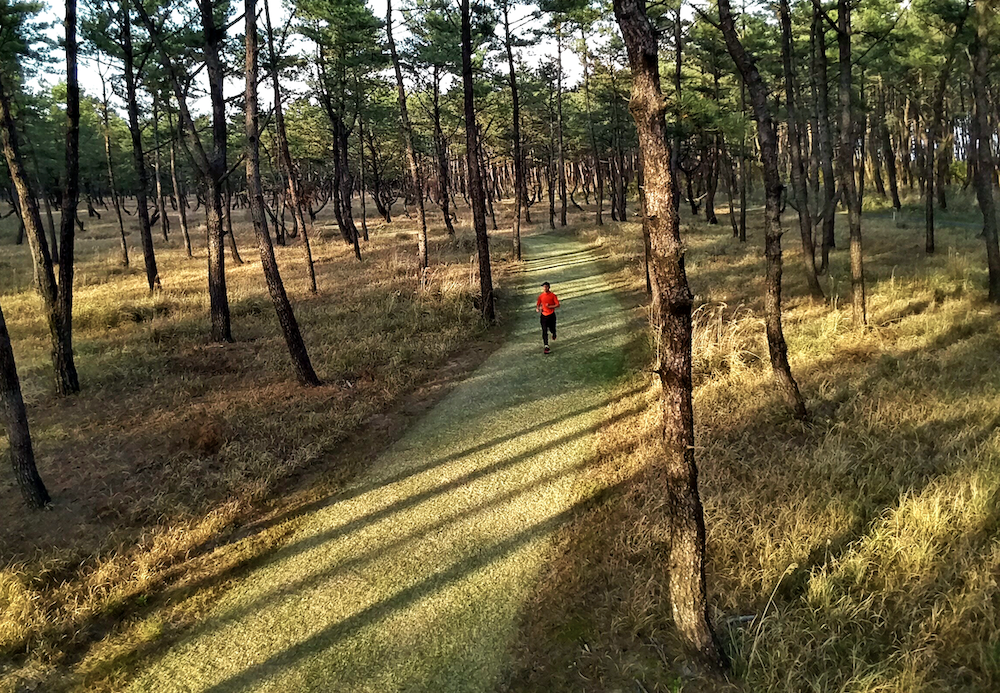 くにの松原2kmクロカンコースの写真3