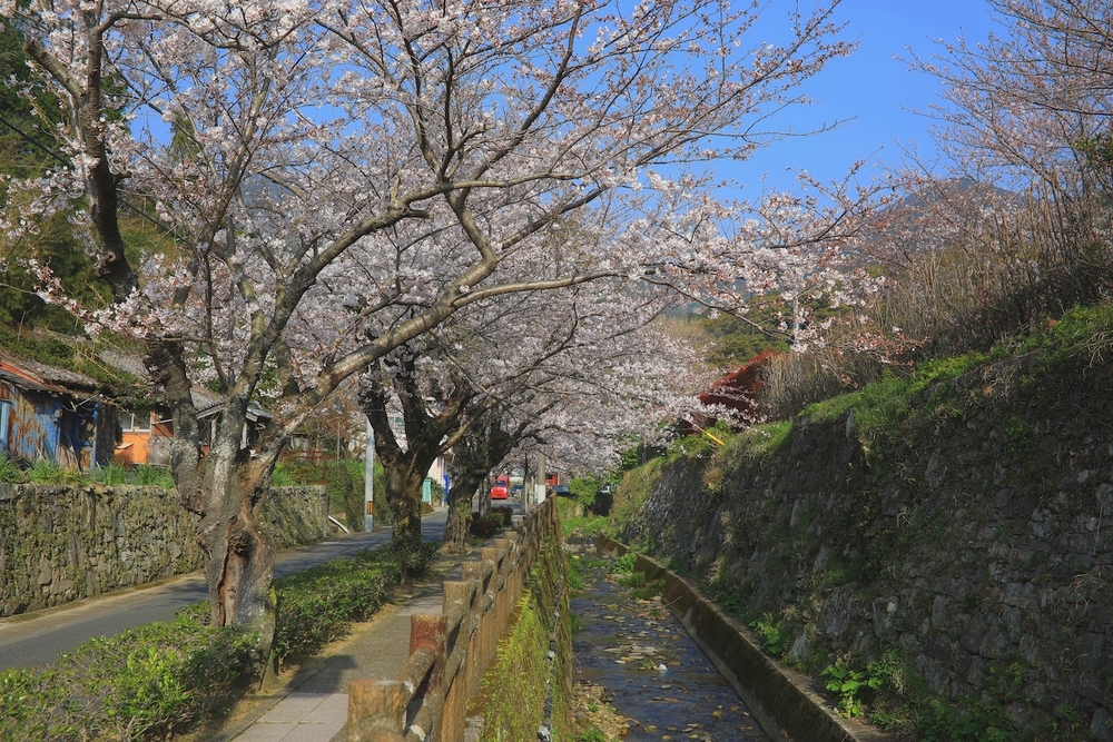 歴史好きランナーにオススメの厳原コースの写真4