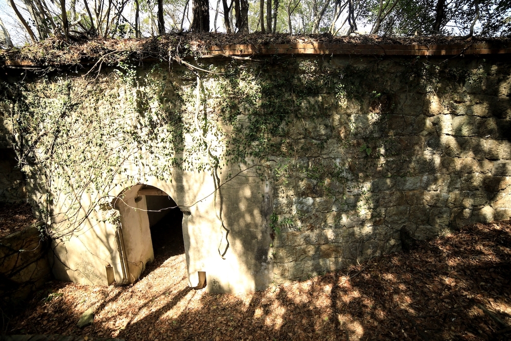 金田城跡までの往復トレイルコースの写真6