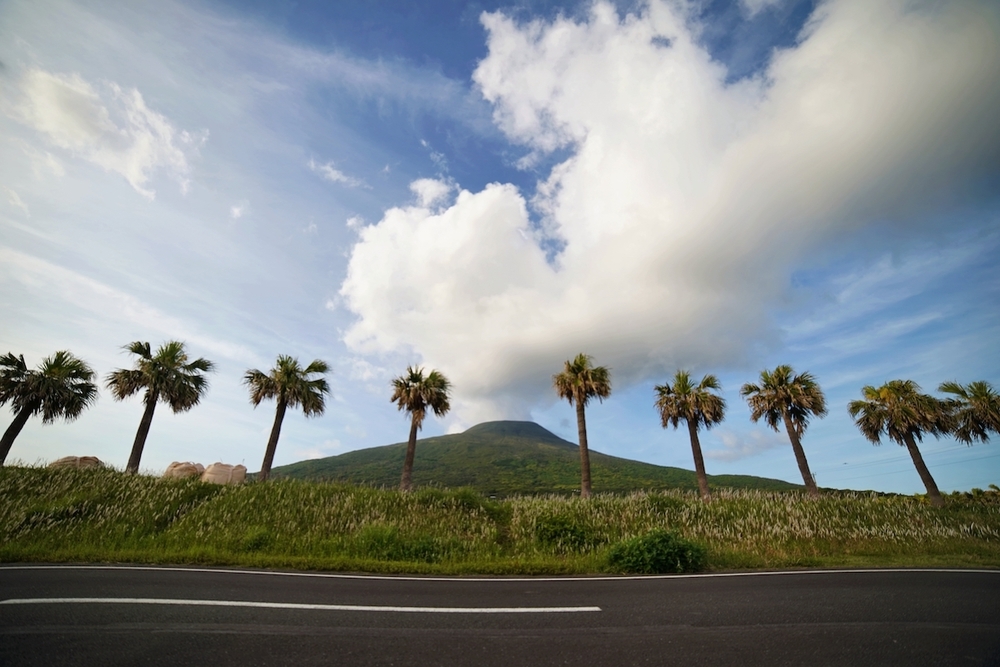 南原スポーツ公園ジョギングコースの写真3