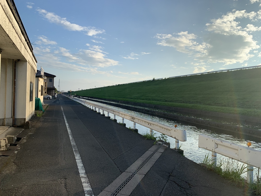 桜の名所 酒津公園からの土手沿い10kコースの写真3