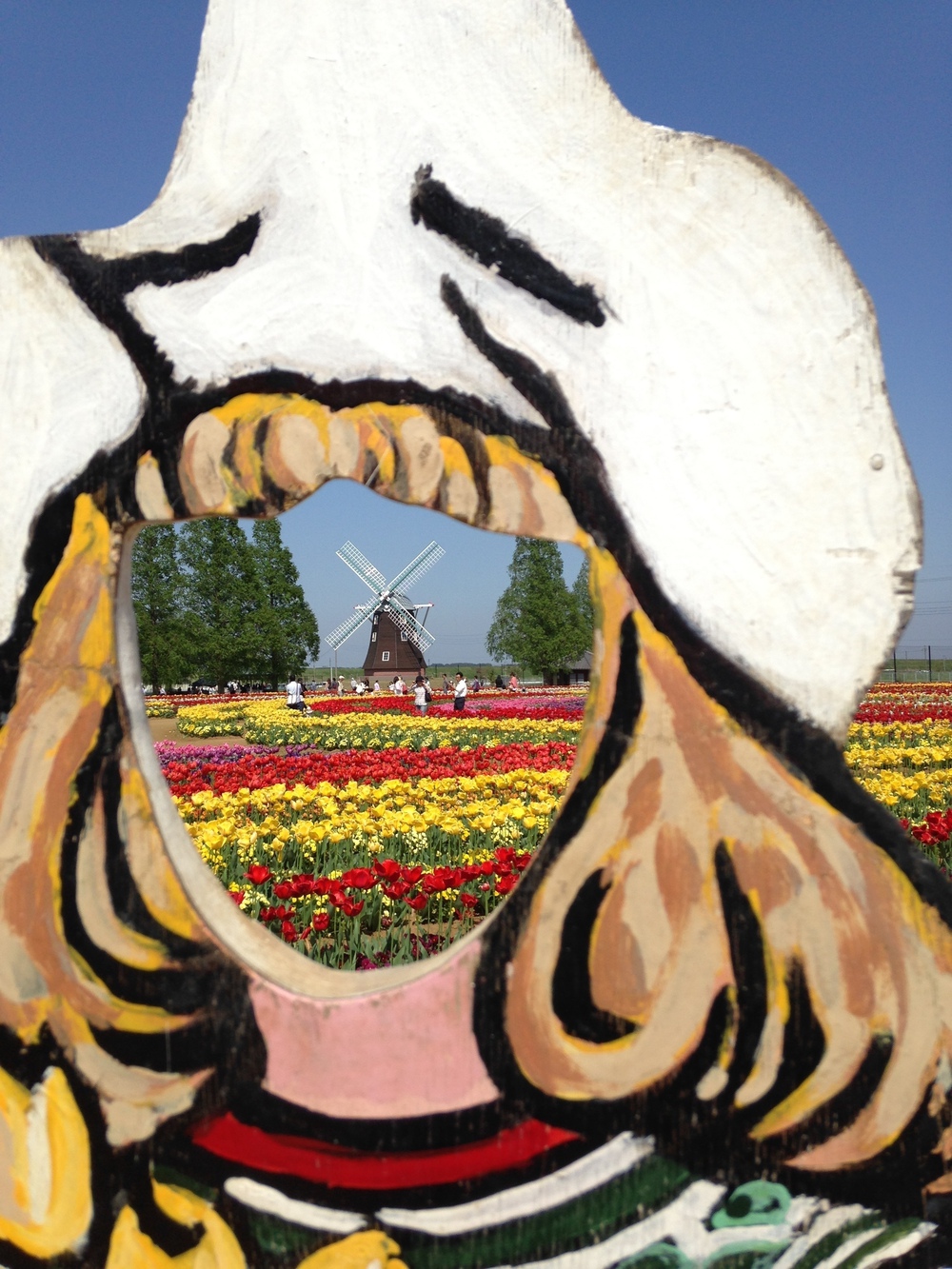 見どころ満載 我孫子〜柏 SP COMBO〜山・水・花・風車・寺・湯〜の写真3