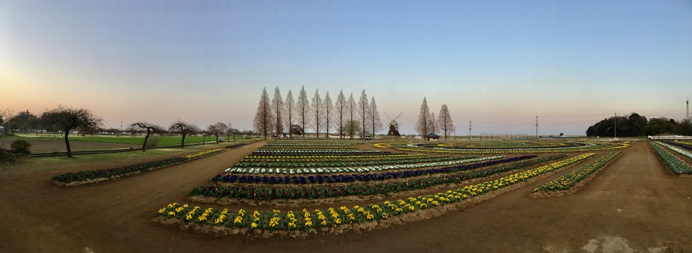 見どころ満載 我孫子〜柏 SP COMBO〜山・水・花・風車・寺・湯〜の写真4
