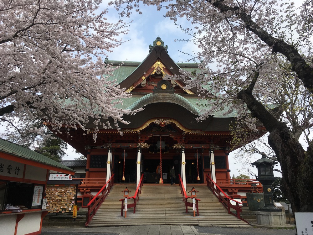 見どころ満載 我孫子〜柏 SP COMBO〜山・水・花・風車・寺・湯〜の写真6