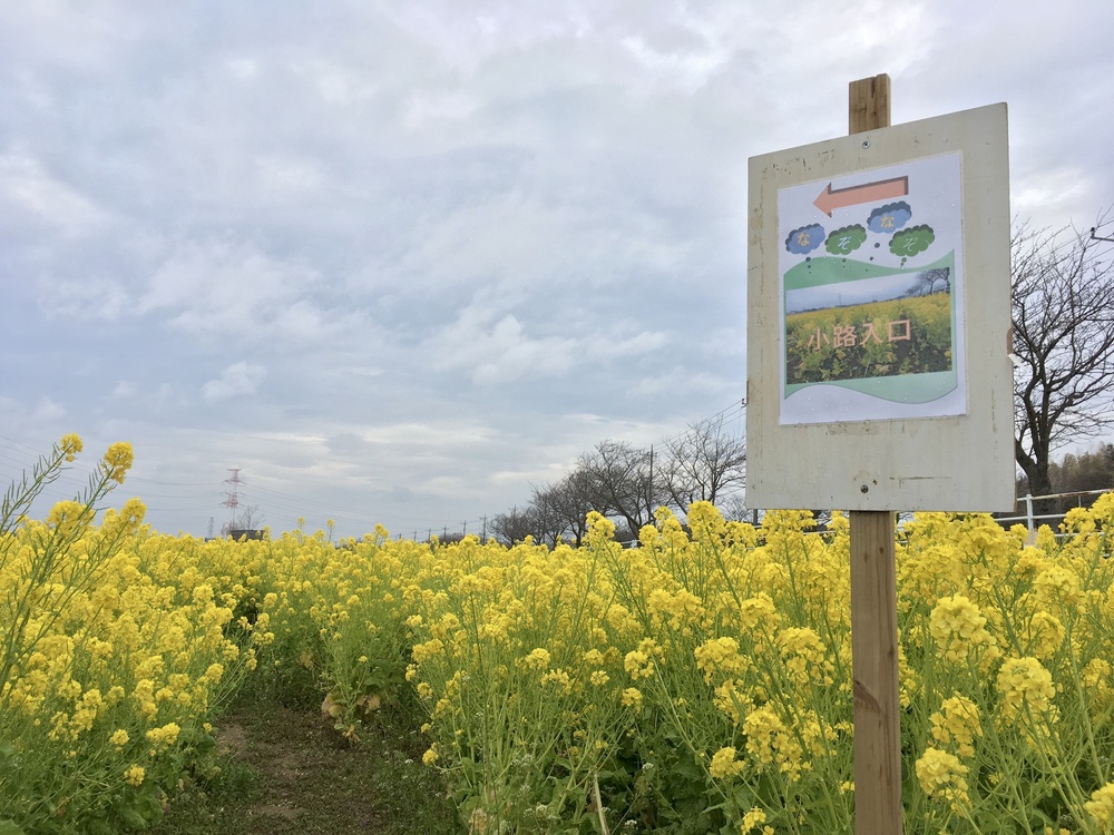 見どころ満載 我孫子〜柏 SP COMBO〜山・水・花・風車・寺・湯〜の写真8