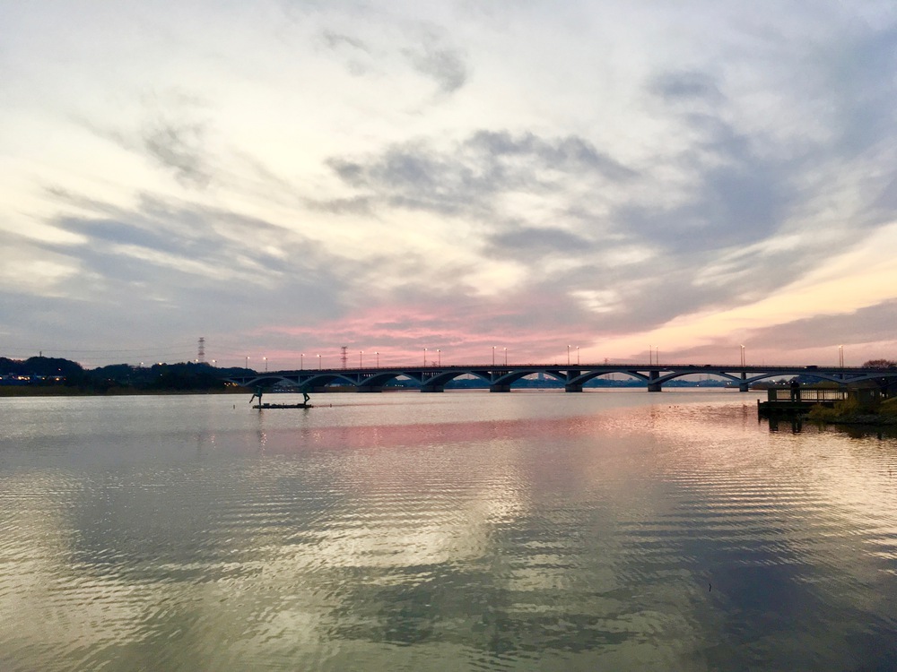 見どころ満載 我孫子〜柏 SP COMBO〜山・水・花・風車・寺・湯〜の写真14