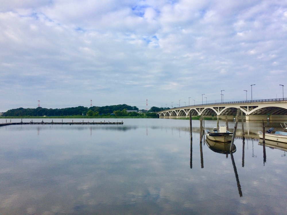 見どころ満載 我孫子〜柏 SP COMBO〜山・水・花・風車・寺・湯〜の写真15