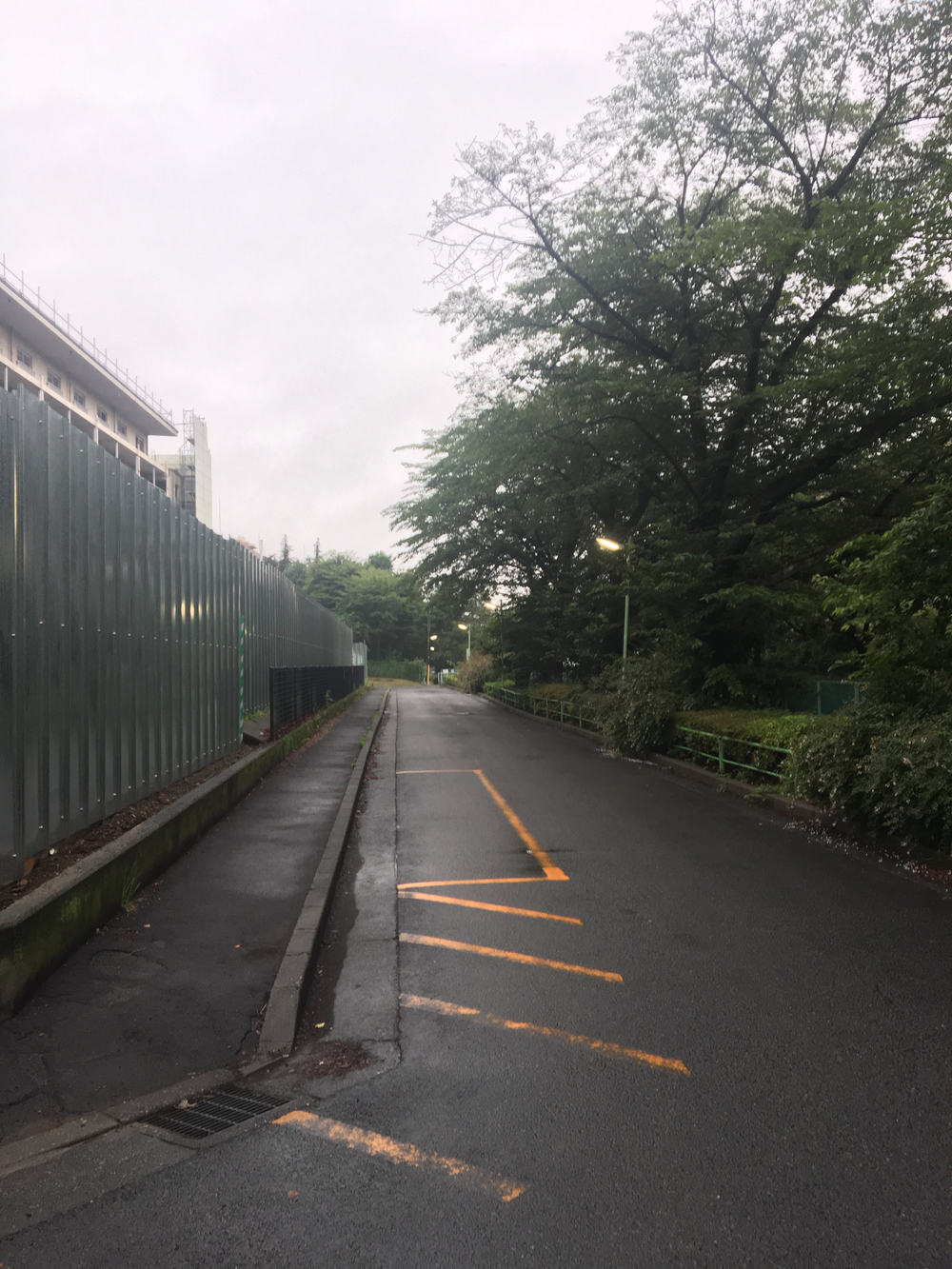 石神井川沿い〜さいかち窪、西武球場への写真3