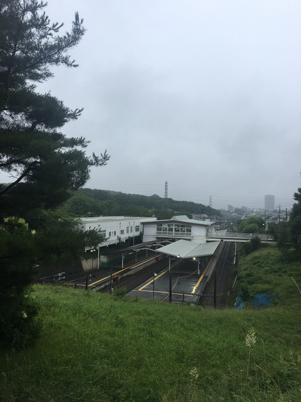 石神井川沿い〜さいかち窪、西武球場への写真8