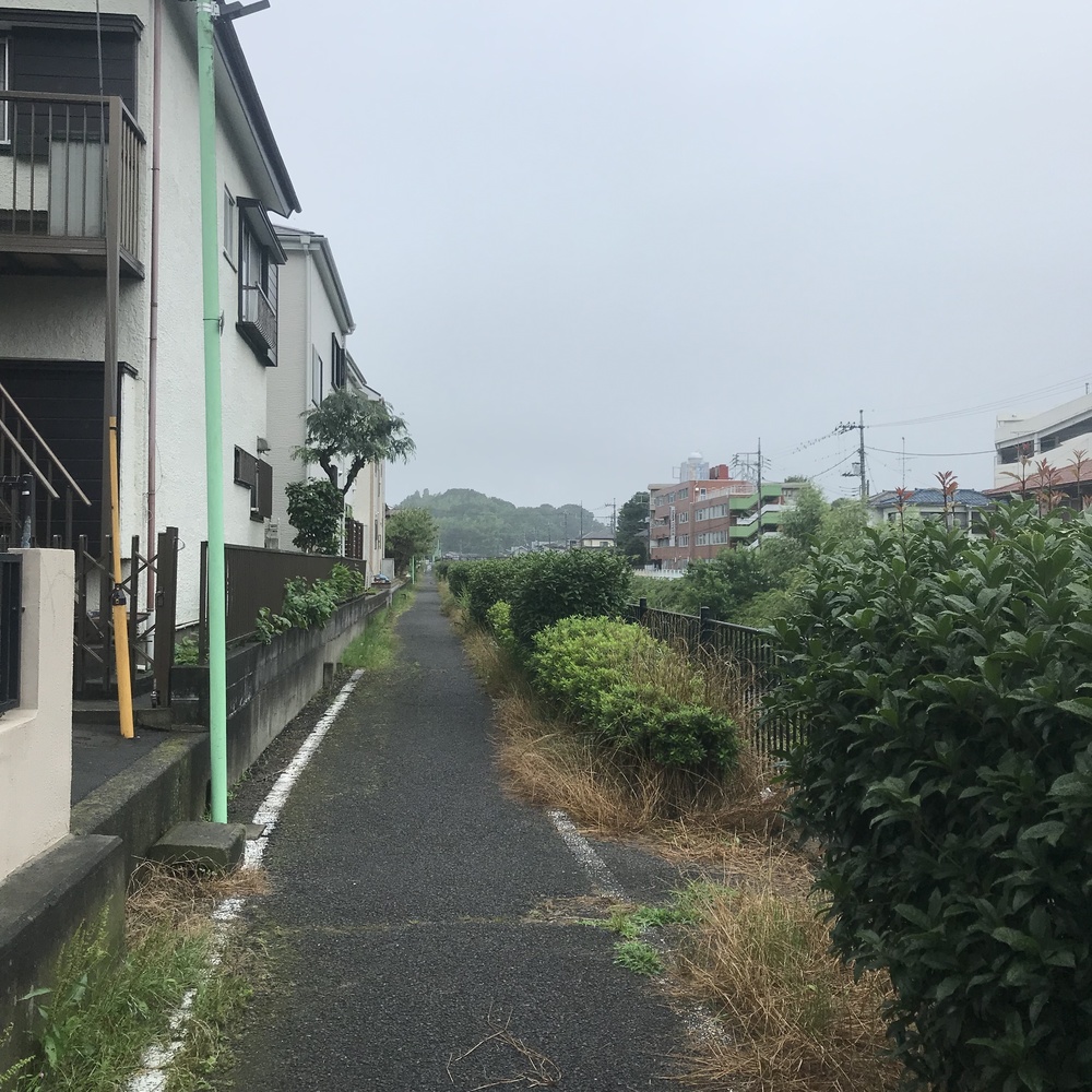 車と信号の少ないご近所、川沿いコース。の写真3