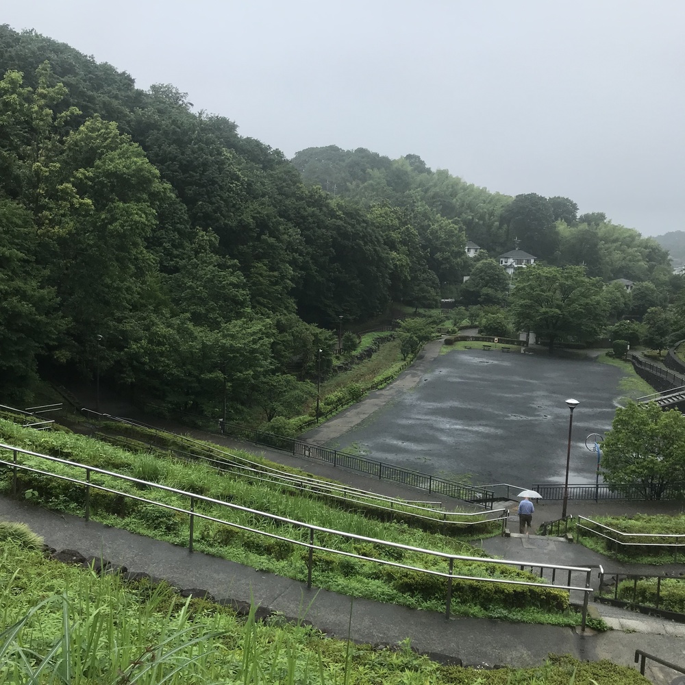 車と信号の少ないご近所、川沿いコース。の写真4