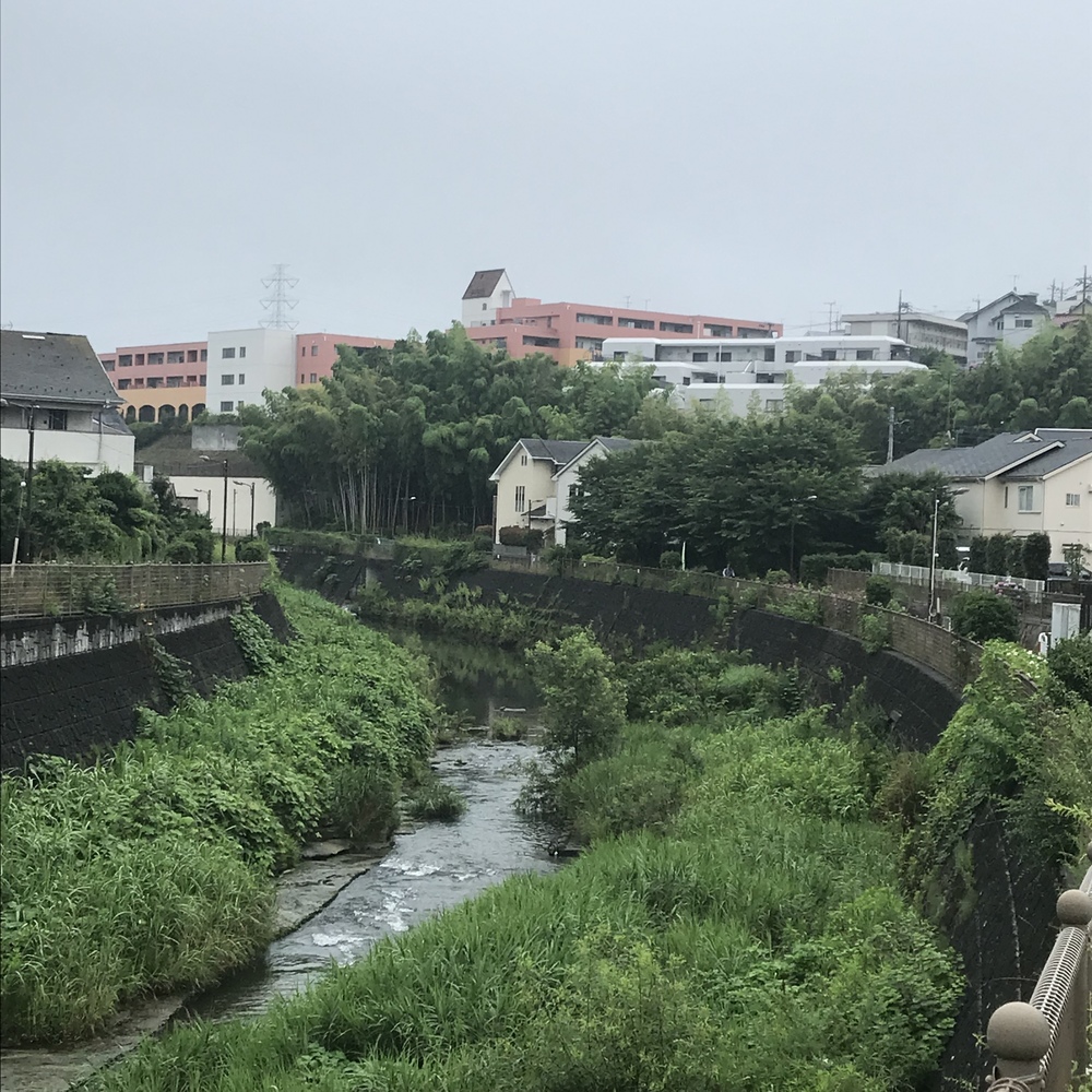 車と信号の少ないご近所、川沿いコース。の写真6