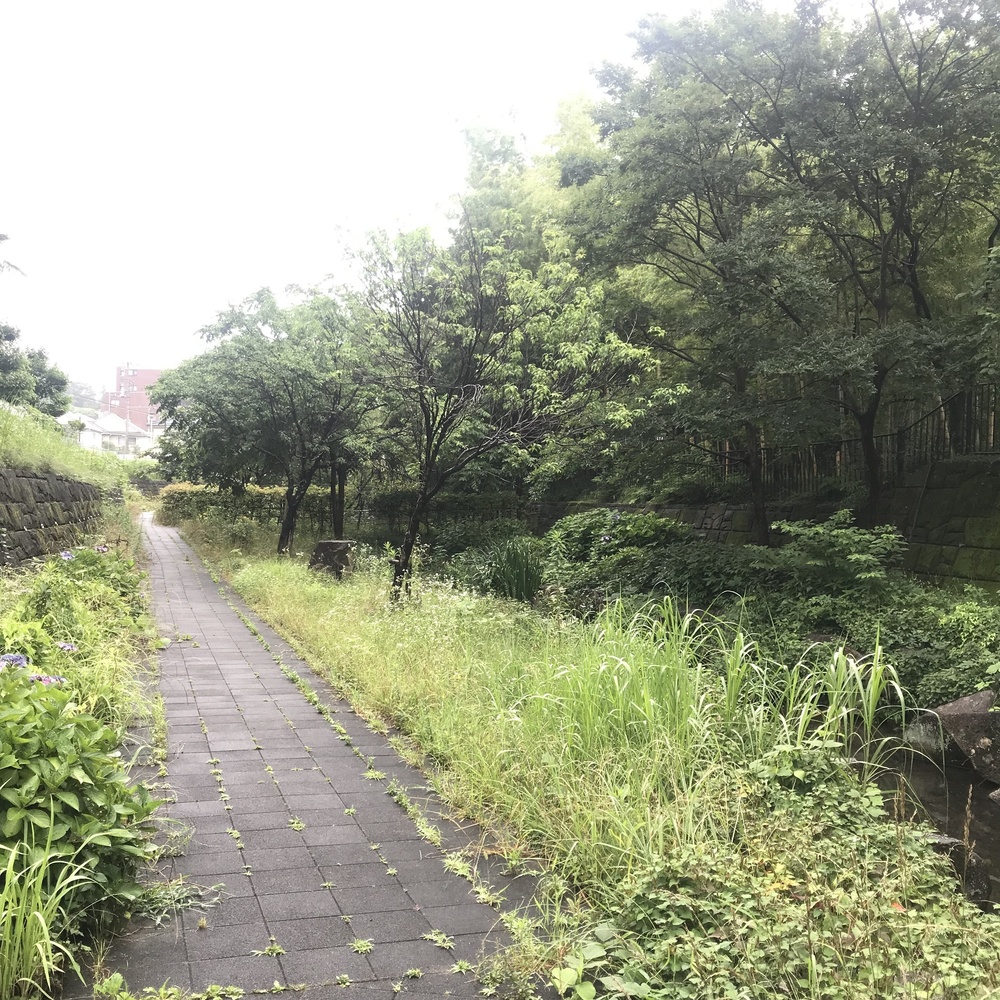 車と信号の少ないご近所、川沿いコース。の写真8