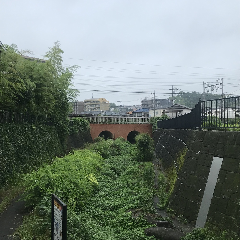 車と信号の少ないご近所、川沿いコース。の写真9