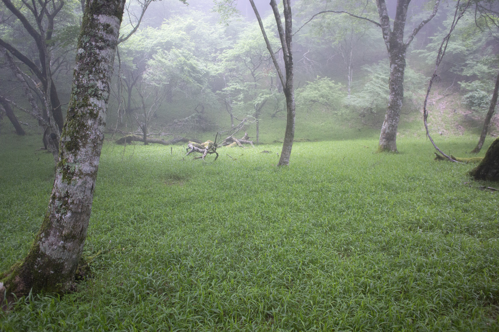 大室山～片蓋山～長尾山(富士 側火山)の写真6