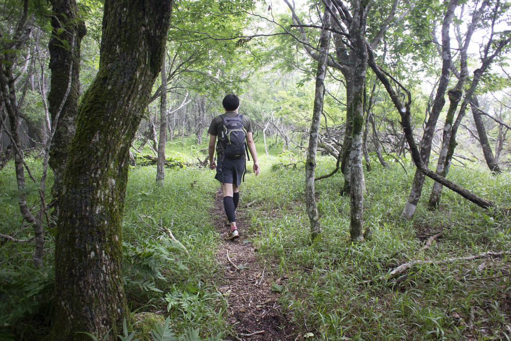 大室山～片蓋山～長尾山(富士 側火山)の写真8