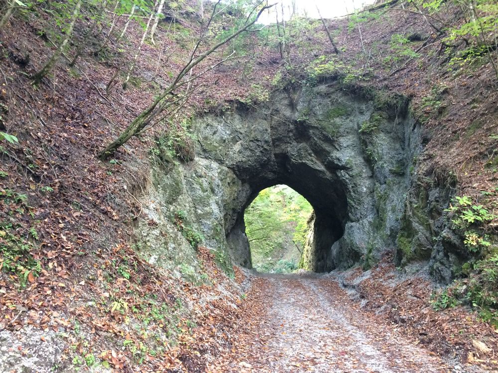 青さに圧倒、ユーシン渓谷の写真4