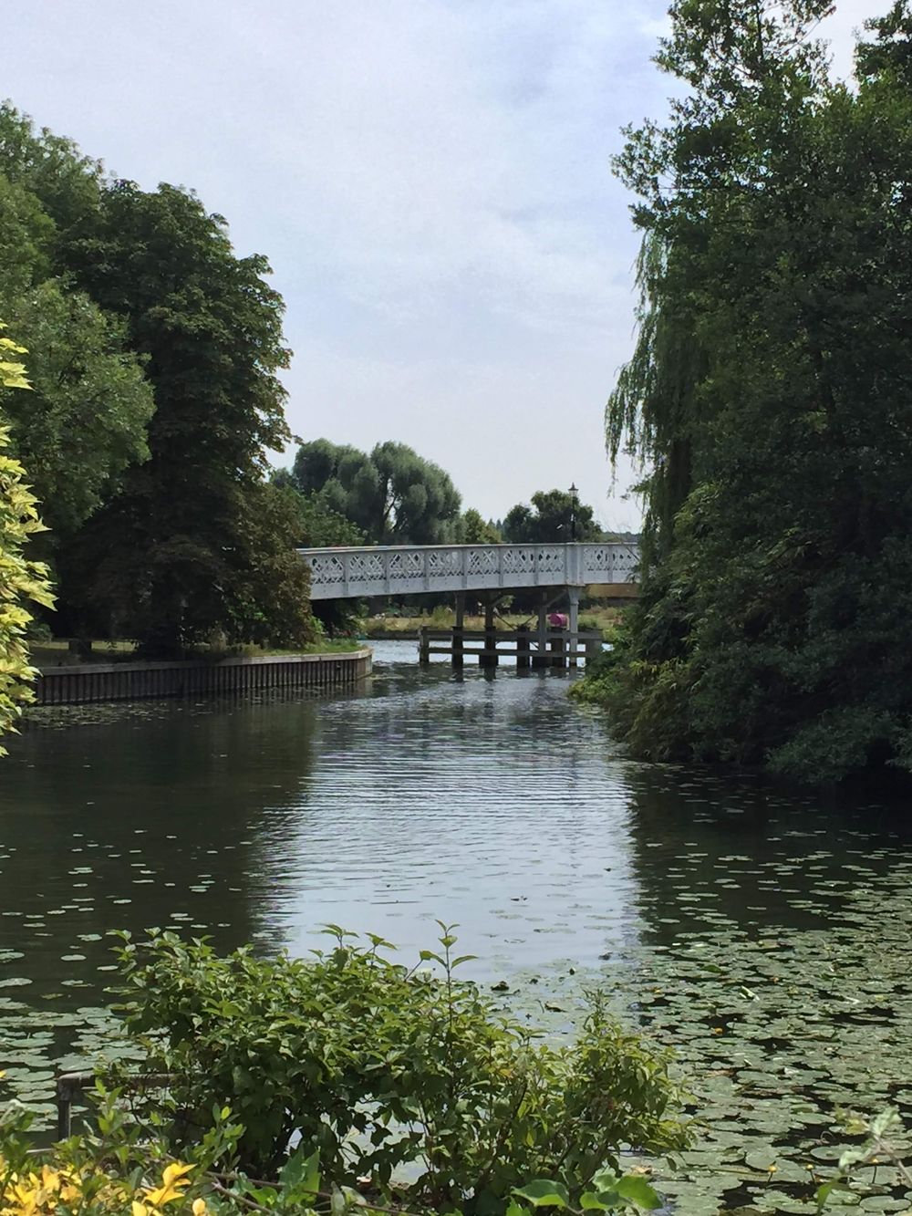 テムズ川沿いの美しいトレイルの写真4