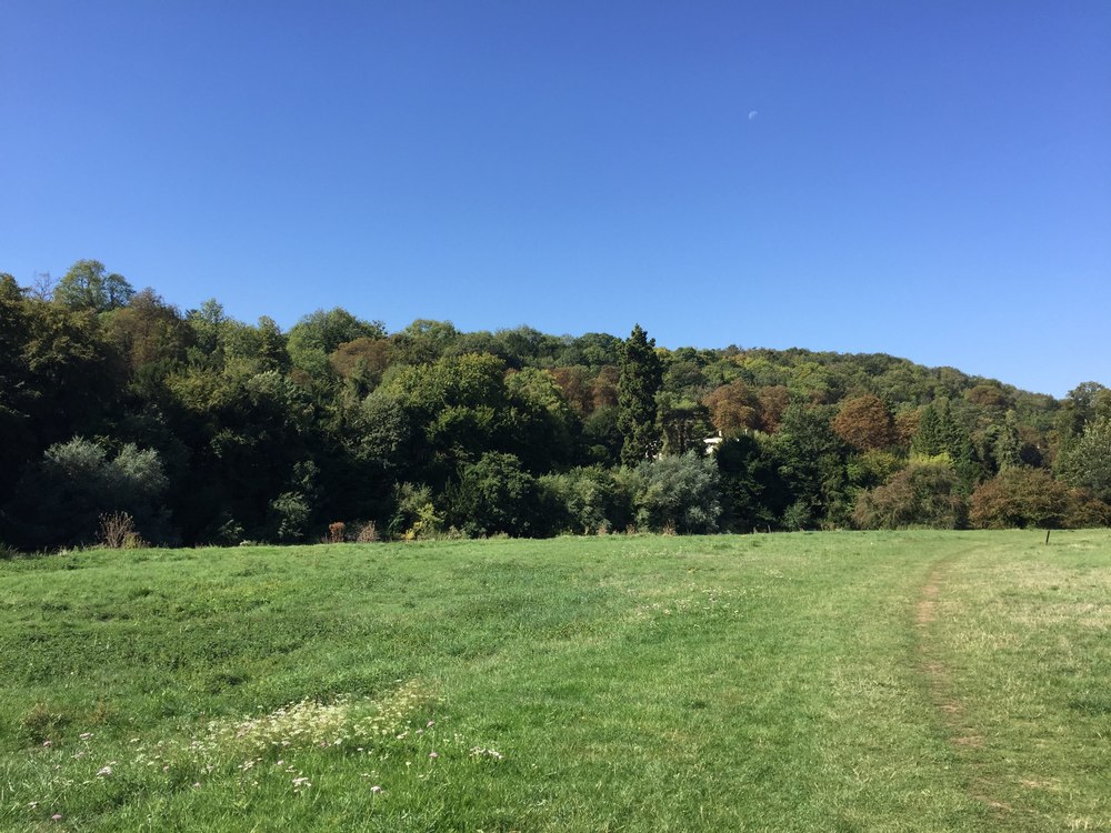 テムズ川沿いの美しいトレイルの写真5