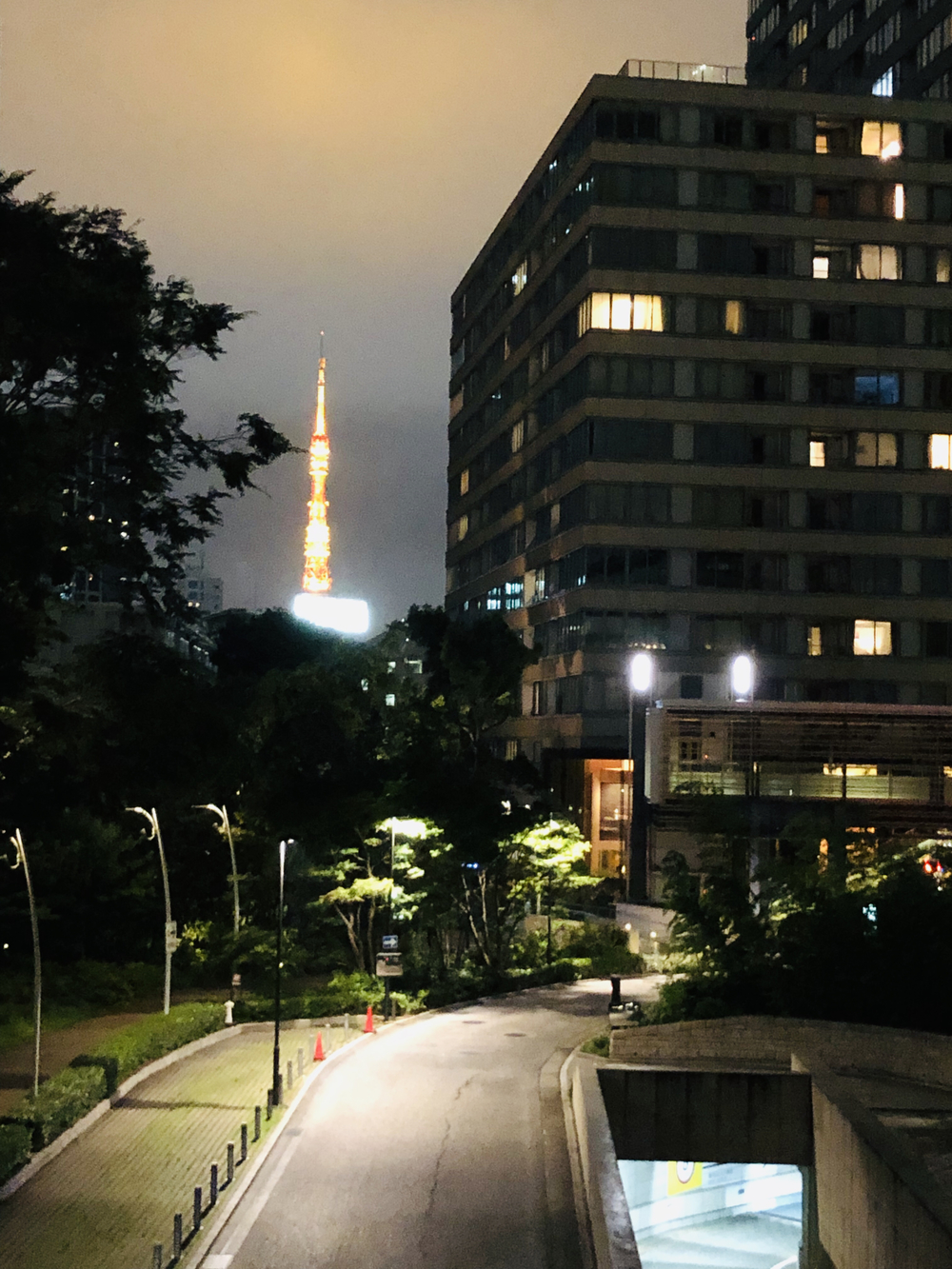 表参道から東京ミッドタウンの写真3