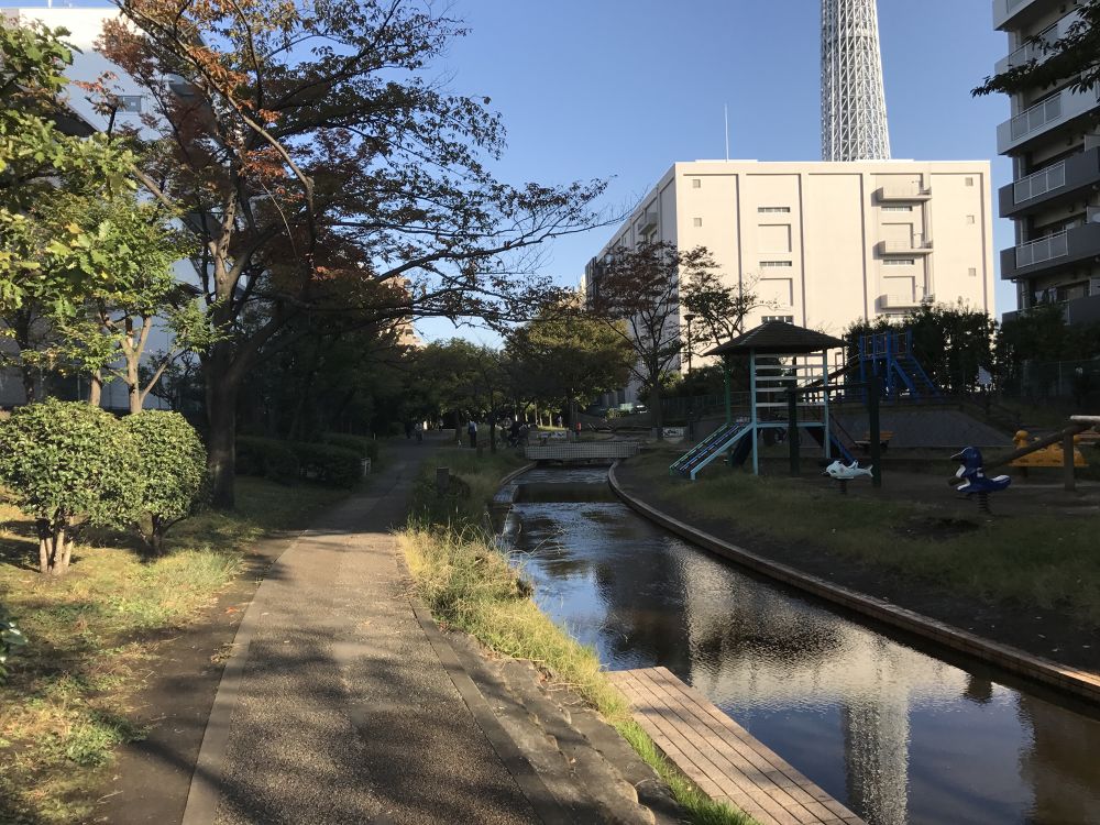錦糸町〜スカイツリーへ大横川親水公園ランの写真4