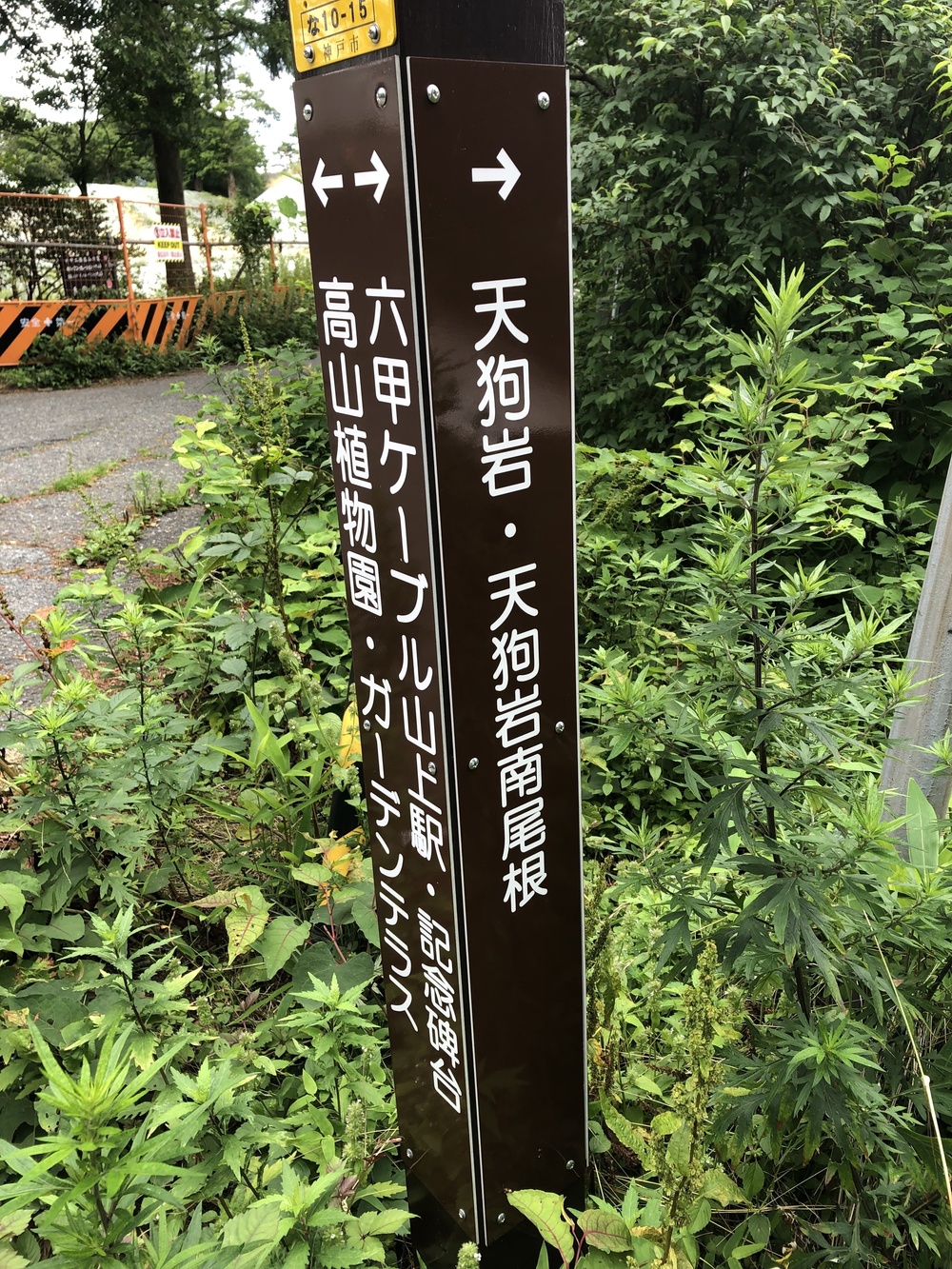 初夏の六甲山おススメグルメコースの写真3