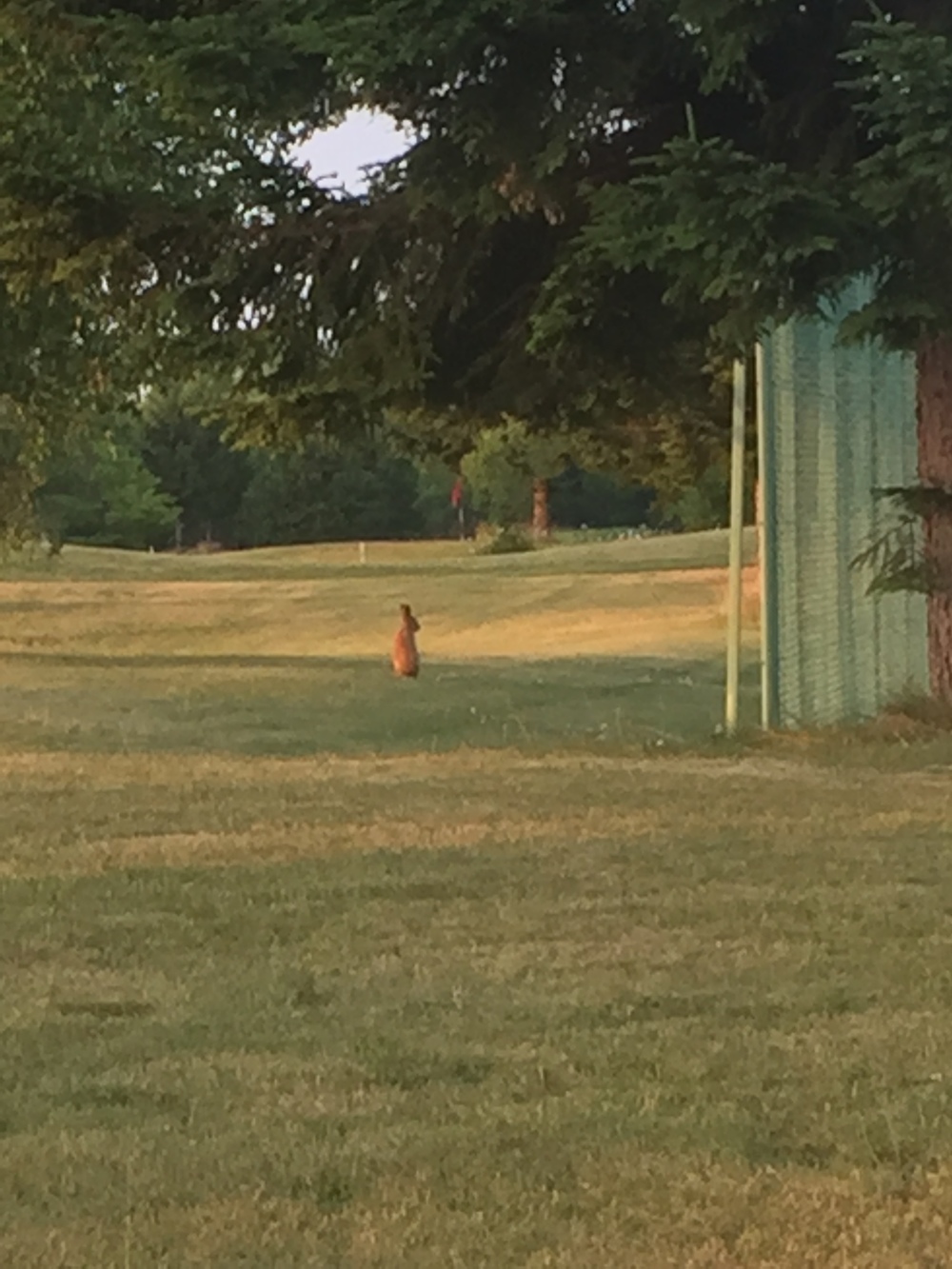 富良野リゾートオリカ ゴルフ倶楽部内コース の写真5