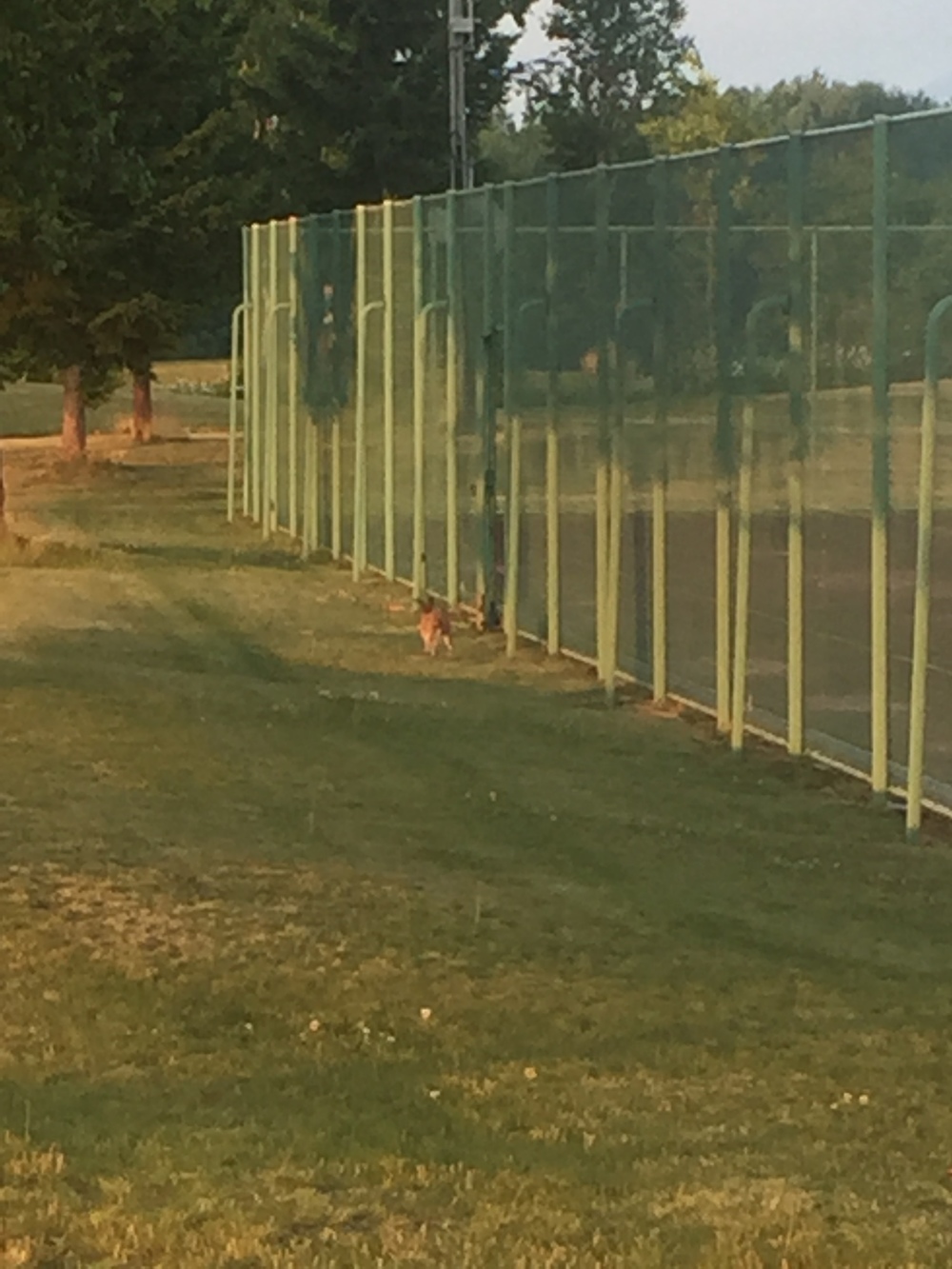 富良野リゾートオリカ ゴルフ倶楽部内コース の写真6