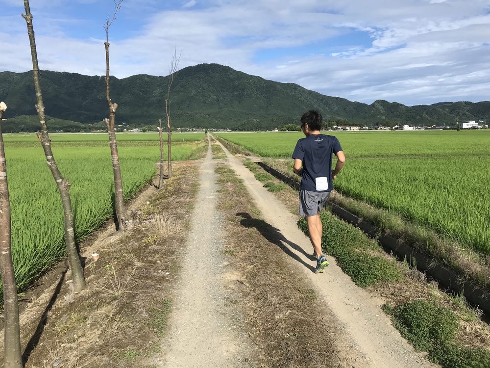 新潟ラン！360°田園風景ランニングコースの写真4