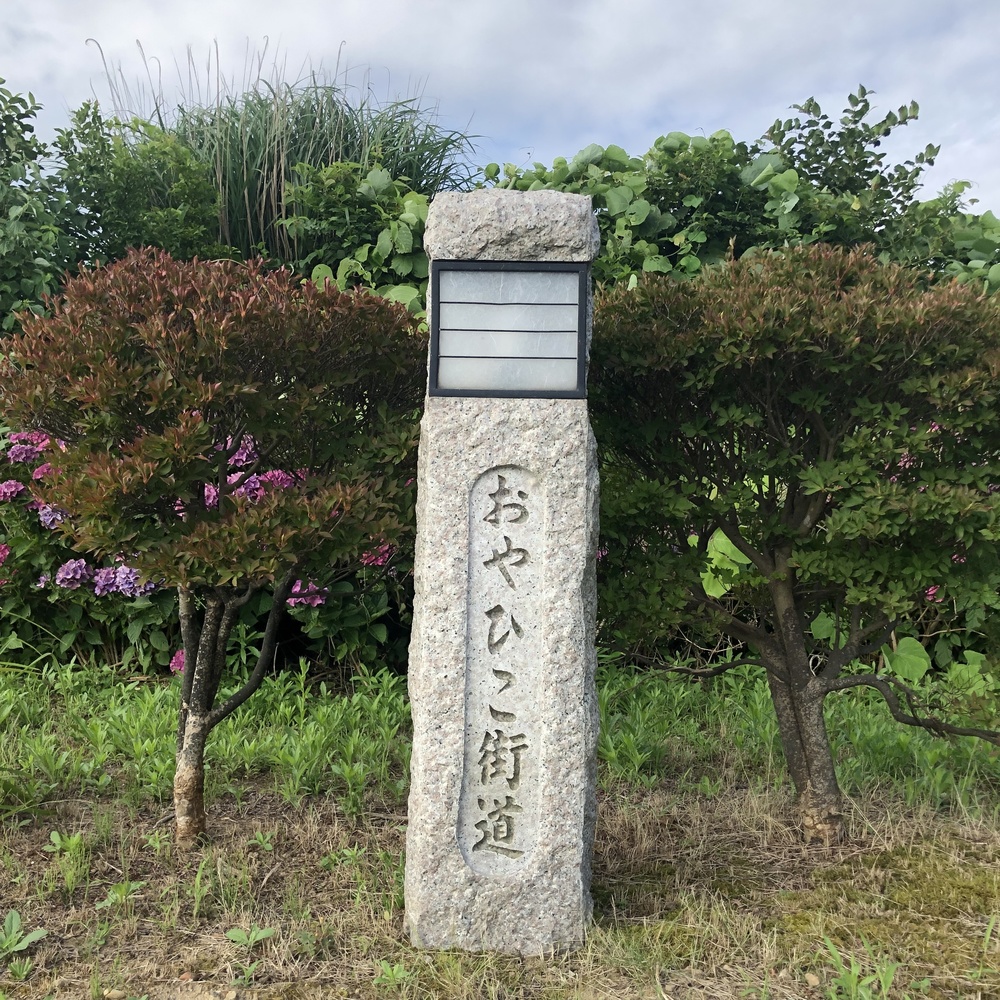 新潟ラン！360°田園風景ランニングコースの写真5