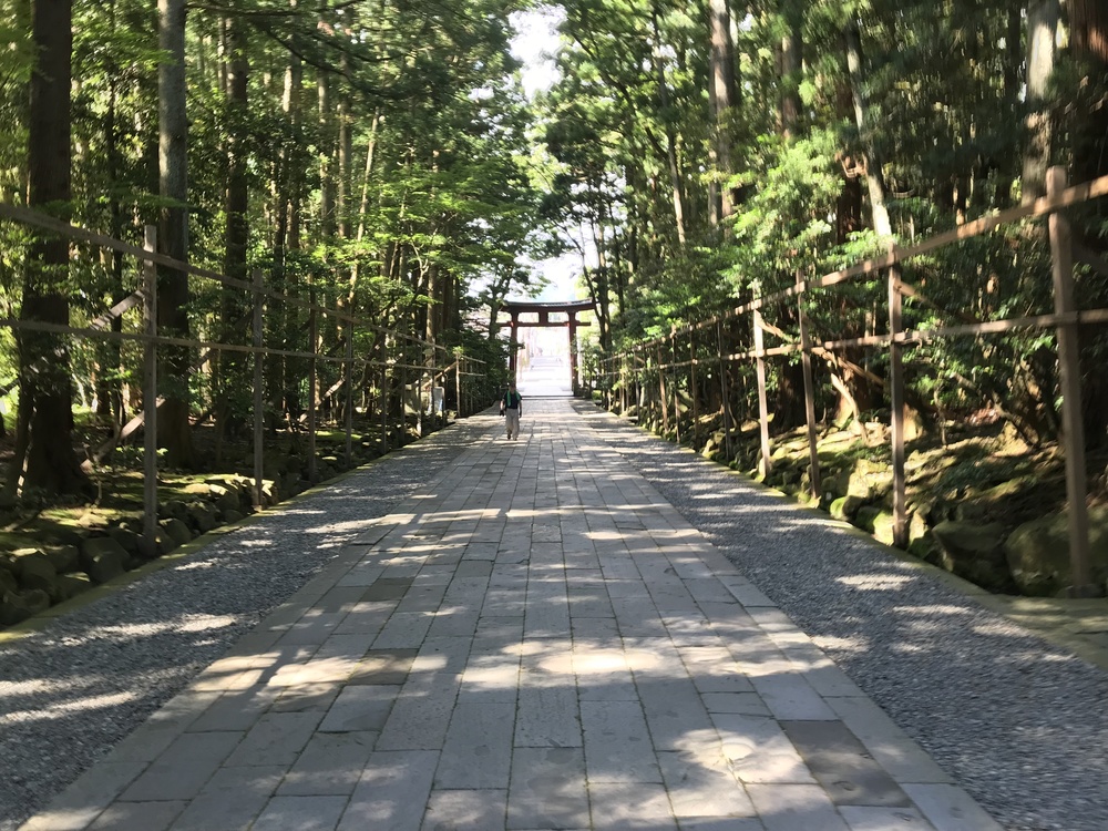 新潟ラン！360°田園風景ランニングコースの写真6