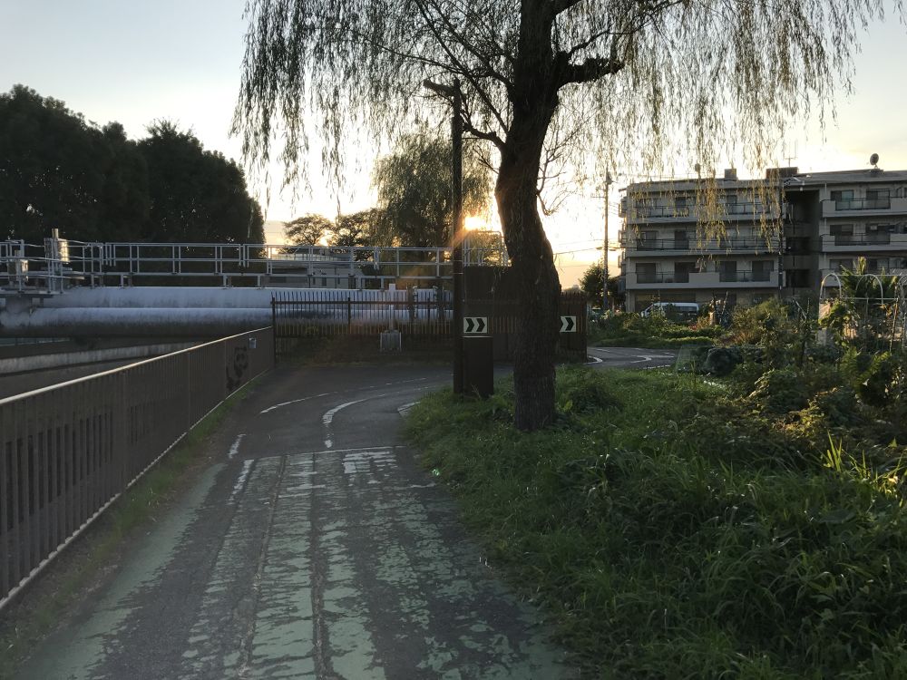 中浦和からすぐ、味のある歩道橋を楽しめるコースの写真3