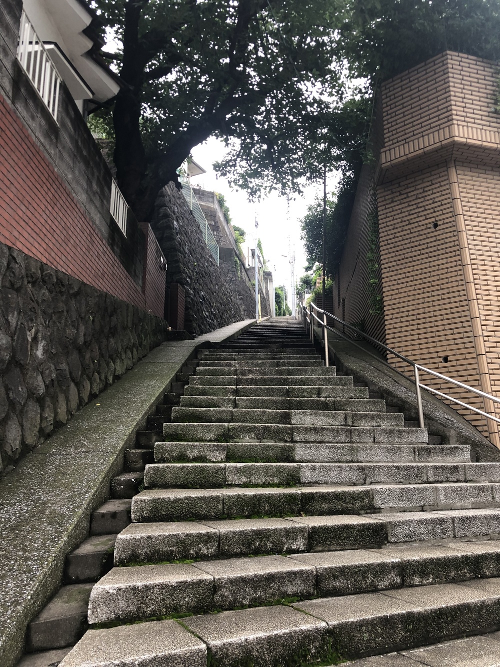 横浜・みなとみらいRUNの写真3