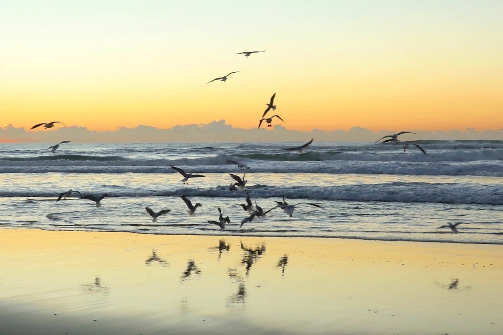 「ランナーズ・パラダイス」でビーチランの写真5