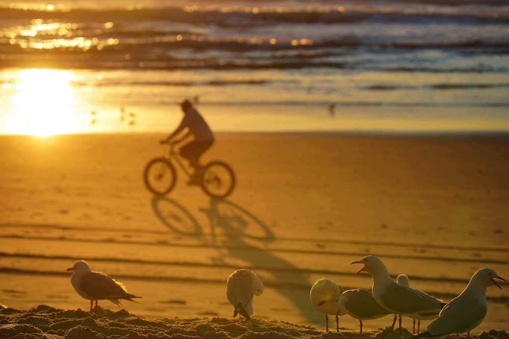「ランナーズ・パラダイス」でビーチランの写真7